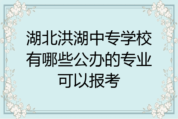 湖北洪湖中专学校有哪些公办的专业可以报考
