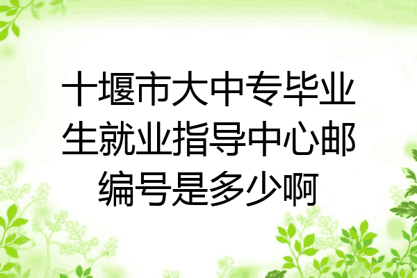 十堰市大中专毕业生就业指导中心邮编号是多少啊