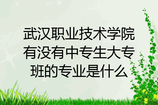 武汉职业技术学院有没有中专生大专班的专业是什么