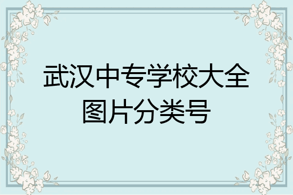 武汉中专学校大全图片分类号