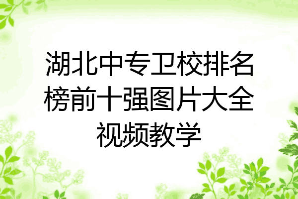 湖北中专卫校排名榜前十强图片大全视频教学