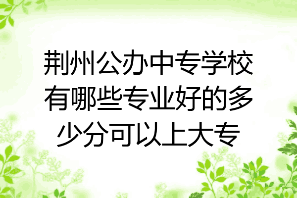 荆州公办中专学校有哪些专业好的多少分可以上大专