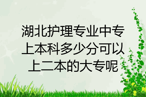 湖北护理专业中专上本科多少分可以上二本的大专呢