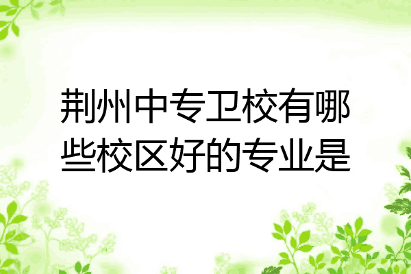 荆州中专卫校有哪些校区好的专业是