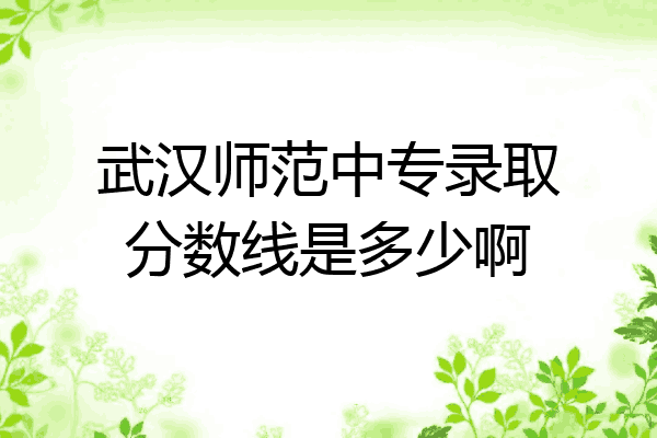 武汉师范中专录取分数线是多少啊