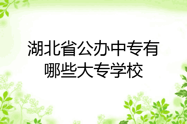 湖北省公办中专有哪些大专学校