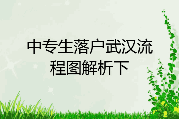 中专生落户武汉流程图解析下