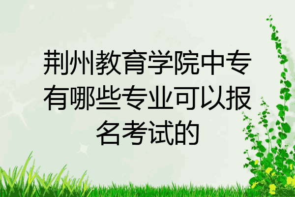 荆州教育学院中专有哪些专业可以报名考试的