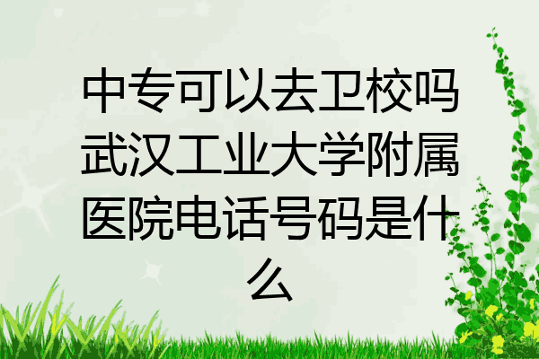 中专可以去卫校吗武汉工业大学附属医院电话号码是什么