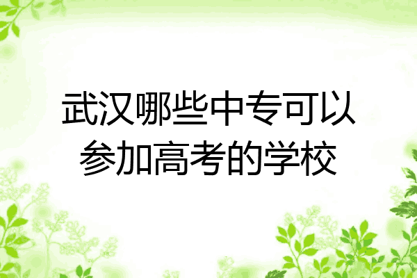 武汉哪些中专可以参加高考的学校