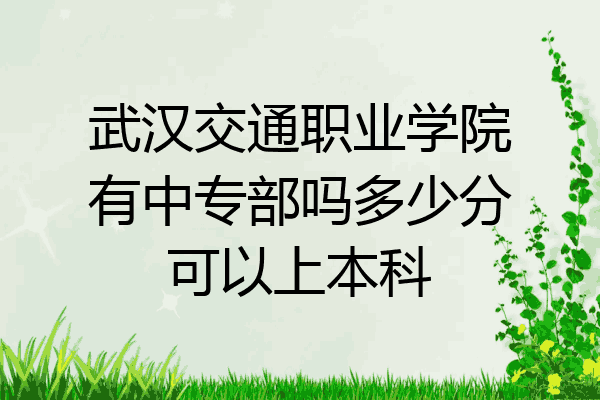 武汉交通职业学院有中专部吗多少分可以上本科