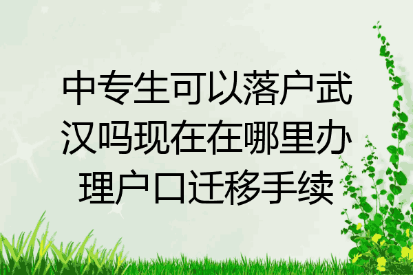 中专生可以落户武汉吗现在在哪里办理户口迁移手续