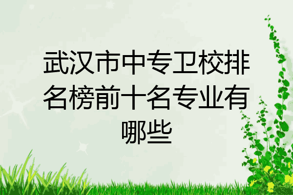 武汉市中专卫校排名榜前十名专业有哪些