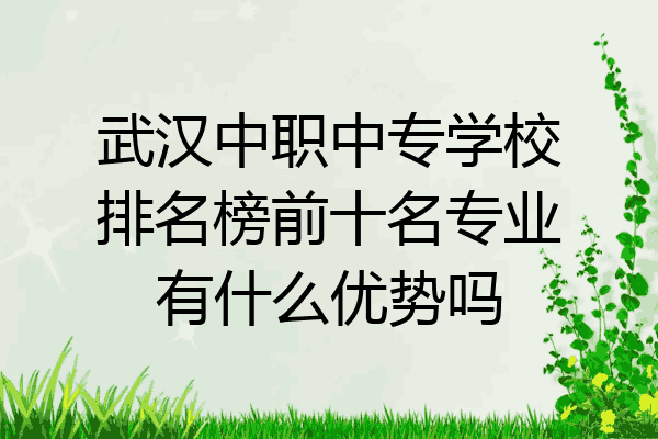 武汉中职中专学校排名榜前十名专业有什么优势吗