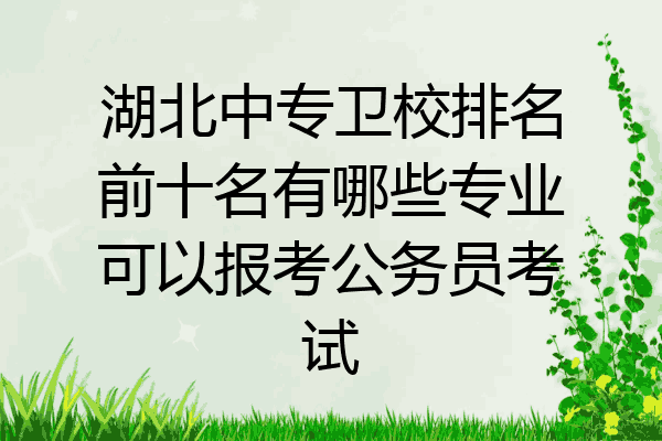 湖北中专卫校排名前十名有哪些专业可以报考公务员考试