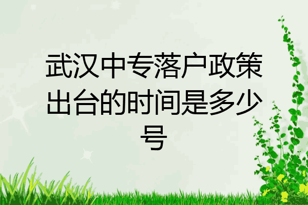 武汉中专落户政策出台的时间是多少号