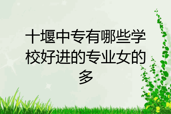 十堰中专有哪些学校好进的专业女的多