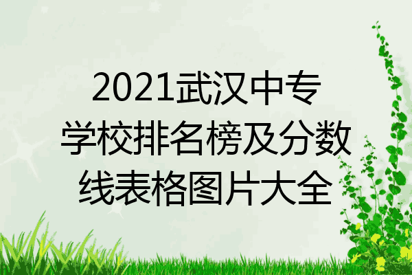 2021武汉中专学校排名榜及分数线表格图片大全