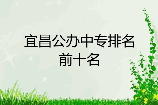 宜昌公办中专排名前十名