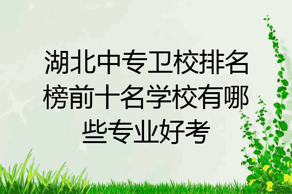 湖北中专卫校排名榜前十名学校有哪些专业好考