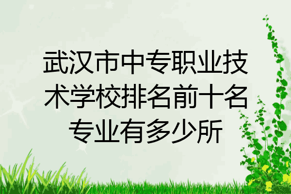 武汉市中专职业技术学校排名前十名专业有多少所