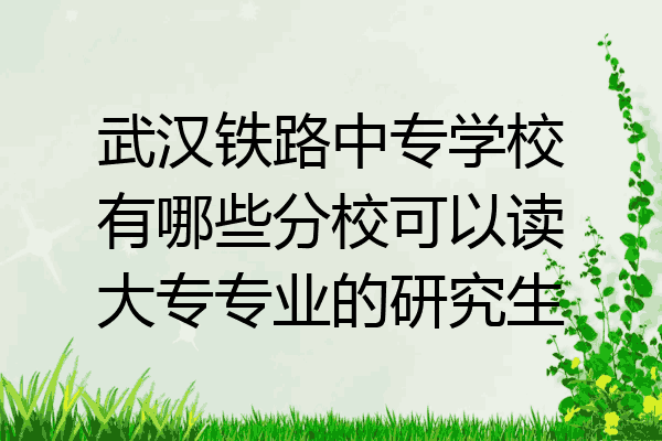 武汉铁路中专学校有哪些分校可以读大专专业的研究生