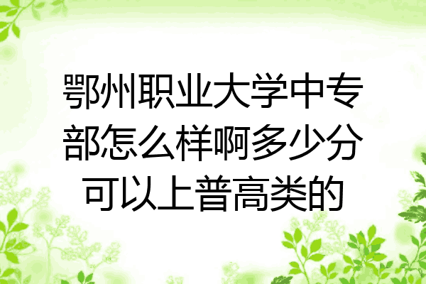 鄂州职业大学中专部怎么样啊多少分可以上普高类的