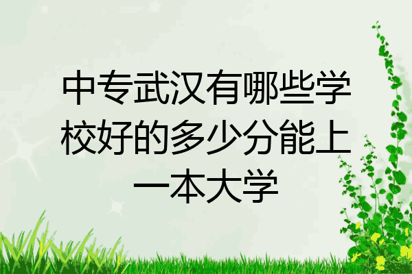 中专武汉有哪些学校好的多少分能上一本大学