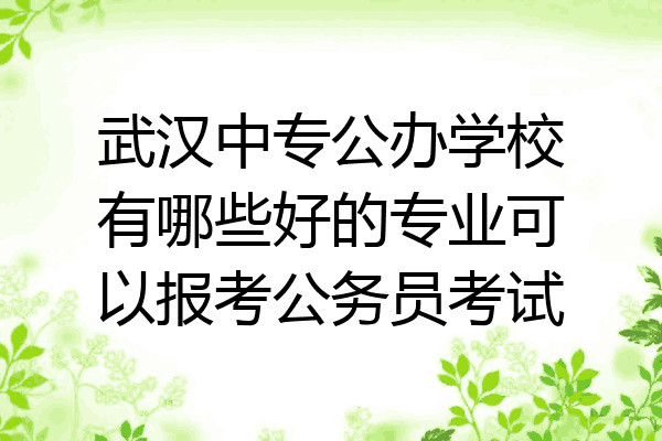 武汉中专公办学校有哪些好的专业可以报考公务员考试
