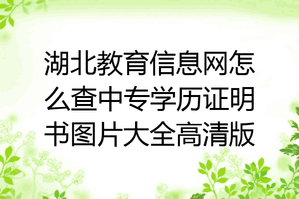 湖北教育信息网怎么查中专学历证明书图片大全高清版