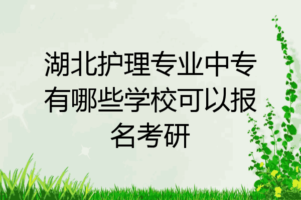 湖北护理专业中专有哪些学校可以报名考研