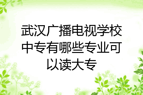 武汉广播电视学校中专有哪些专业可以读大专