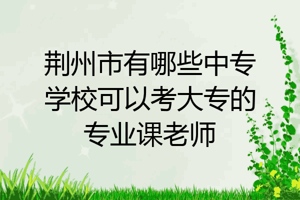 荆州市有哪些中专学校可以考大专的专业课老师
