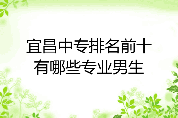 宜昌中专排名前十有哪些专业男生