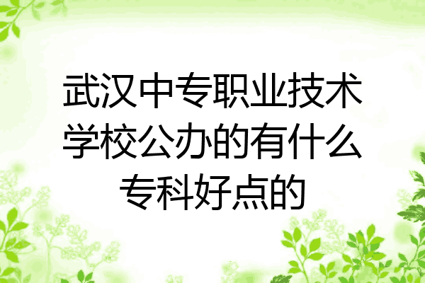 武汉中专职业技术学校公办的有什么专科好点的