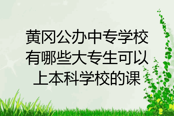 黄冈公办中专学校有哪些大专生可以上本科学校的课