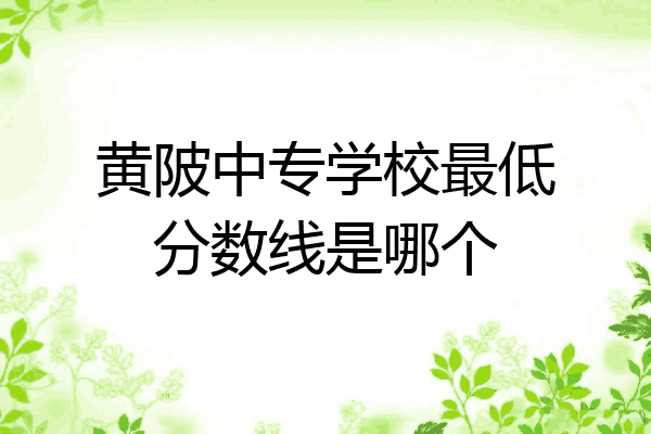 黄陂中专学校最低分数线是哪个
