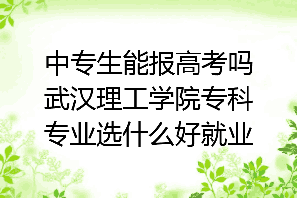 中专生能报高考吗武汉理工学院专科专业选什么好就业