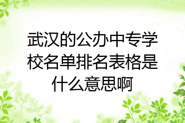 武汉的公办中专学校名单排名表格是什么意思啊