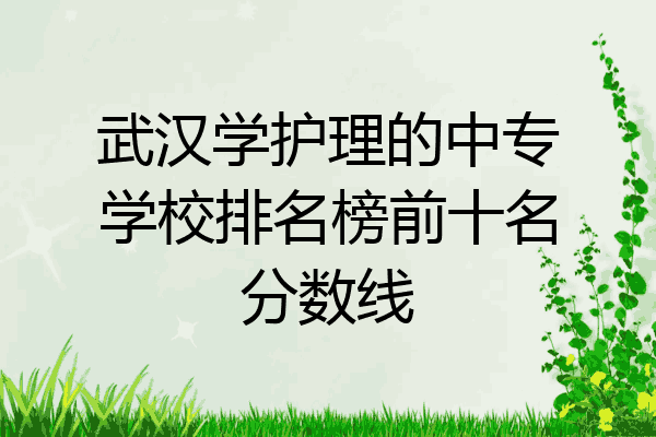 武汉学护理的中专学校排名榜前十名分数线