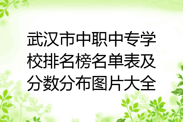 武汉市中职中专学校排名榜名单表及分数分布图片大全