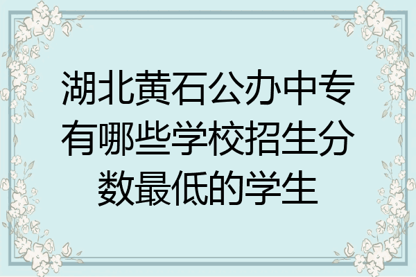 湖北黄石公办中专有哪些学校招生分数最低的学生