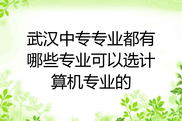 武汉中专专业都有哪些专业可以选计算机专业的