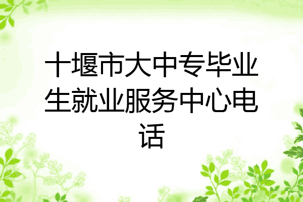 十堰市大中专毕业生就业服务中心电话