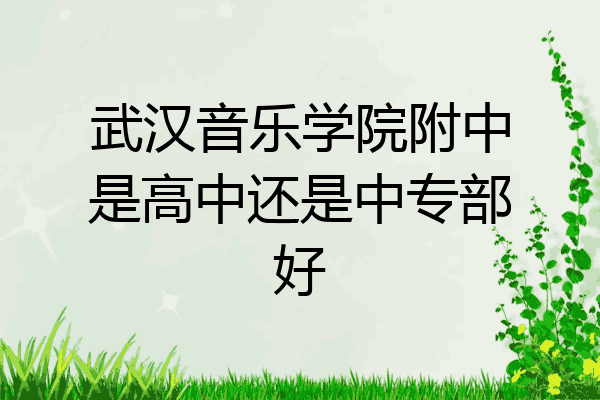 武汉音乐学院附中是高中还是中专部好