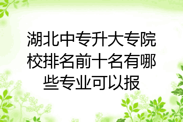 湖北中专升大专院校排名前十名有哪些专业可以报