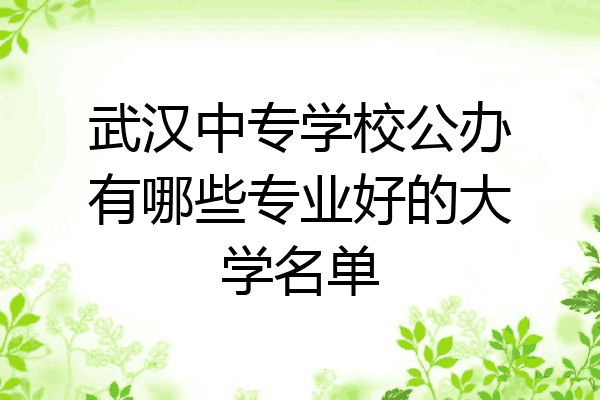 武汉中专学校公办有哪些专业好的大学名单