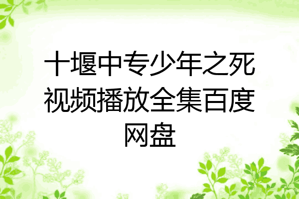 十堰中专少年之死视频播放全集百度网盘