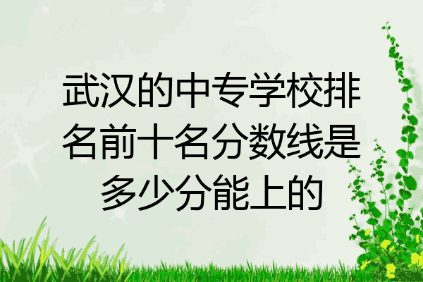 武汉的中专学校排名前十名分数线是多少分能上的