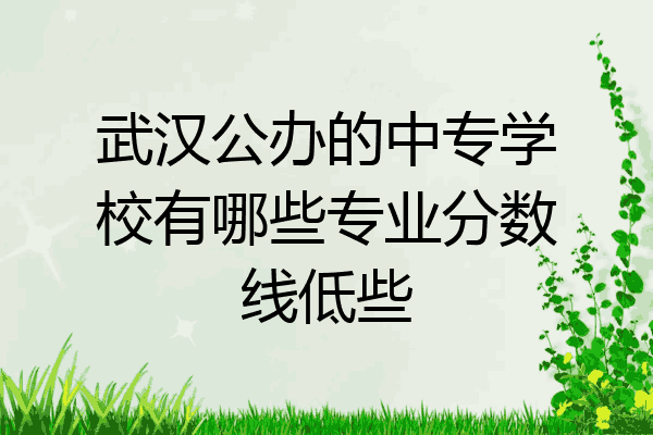 武汉公办的中专学校有哪些专业分数线低些